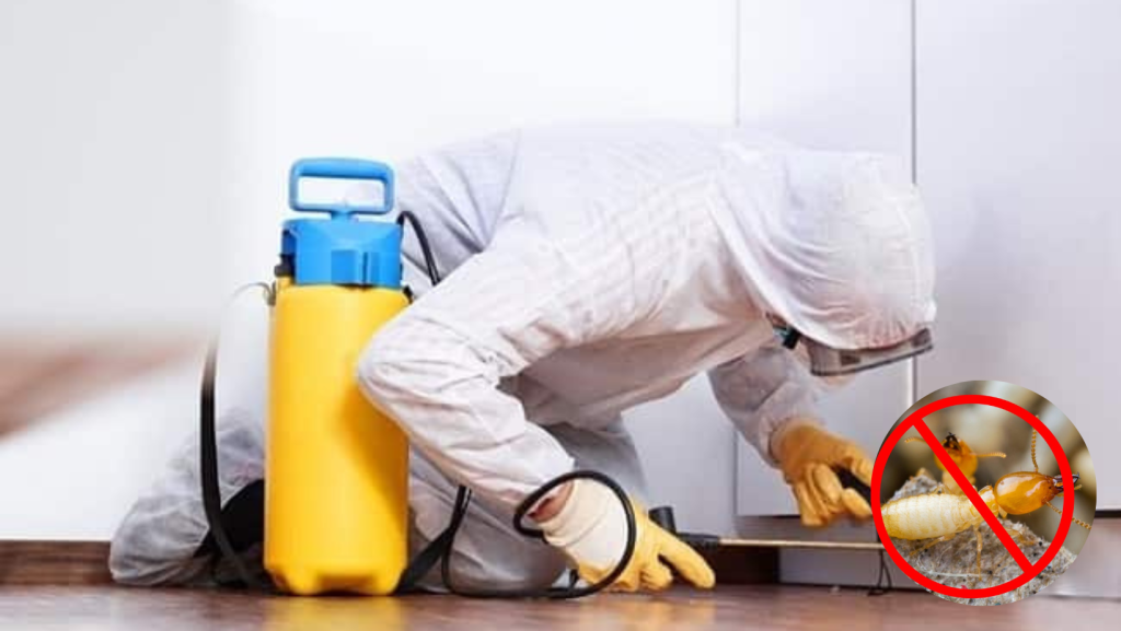 CÔNG TY DIỆT MỐI TẬN GỐC TẠI LÂM ĐỒNG