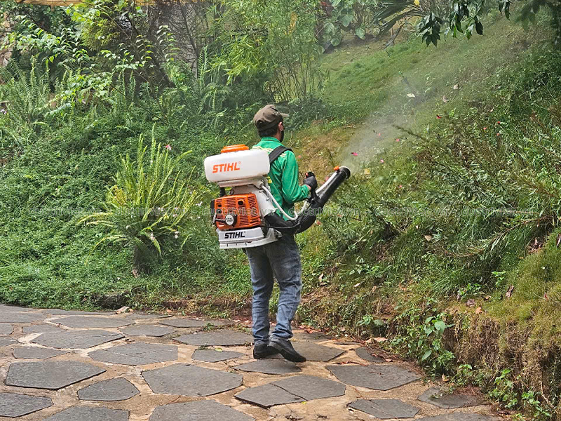 Phun Xịt Diệt Côn Trùng Chuyên Nghiệp, Giá Rẻ tại Đà Lạt, Lâm Đồng