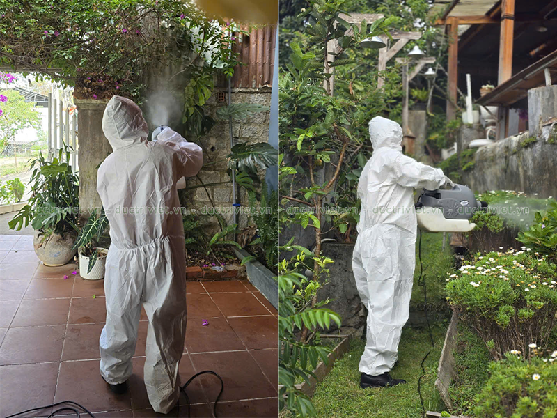 Phun Xịt Diệt Muỗi Chuyên Nghiệp Giá Rẻ Tại Đà Lạt, Lâm Đồng