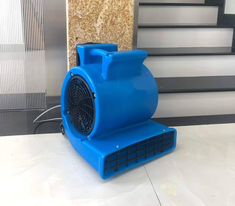 Dịch vụ cho thuê máy thổi sấy thảm tại Đà Lạt 