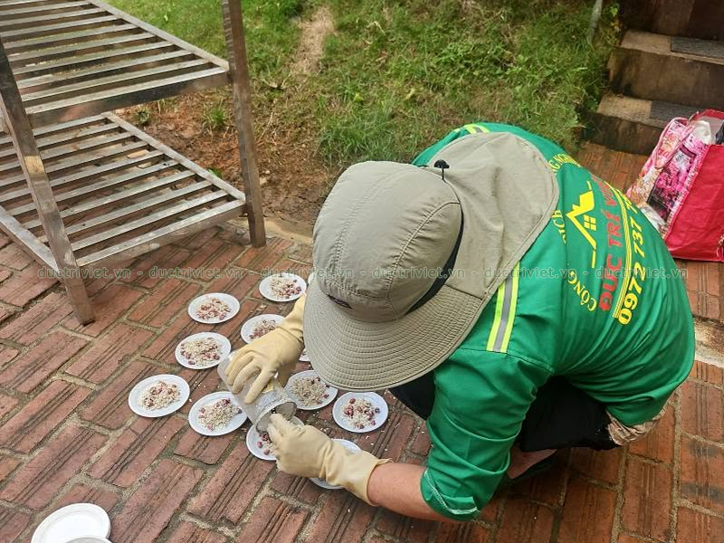 đơn vị diệt chuột tại Đức Trọng