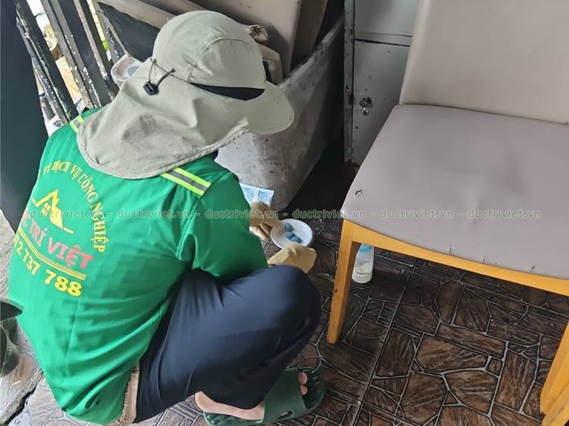 công ty diệt chuột tại Đức Trọng