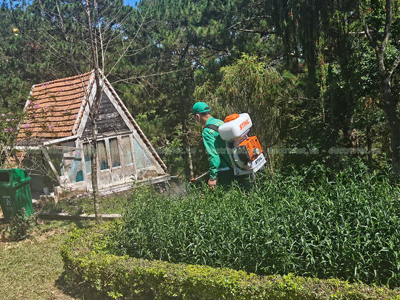 dịch vụ diệt côn trùng tại Lâm Hà