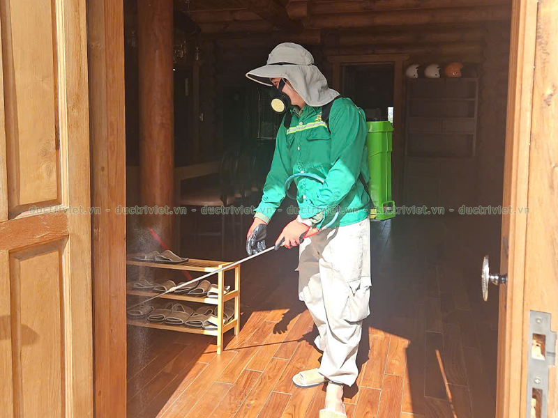 đơn vị diệt mối chuyên nghiệp giá rẻ tại Đà Lạt, Lâm Đồng