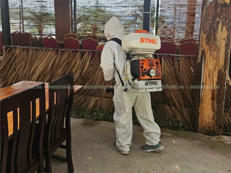 diệt mối chuyên nghiệp giá rẻ tại Đà Lạt, Lâm Đồng