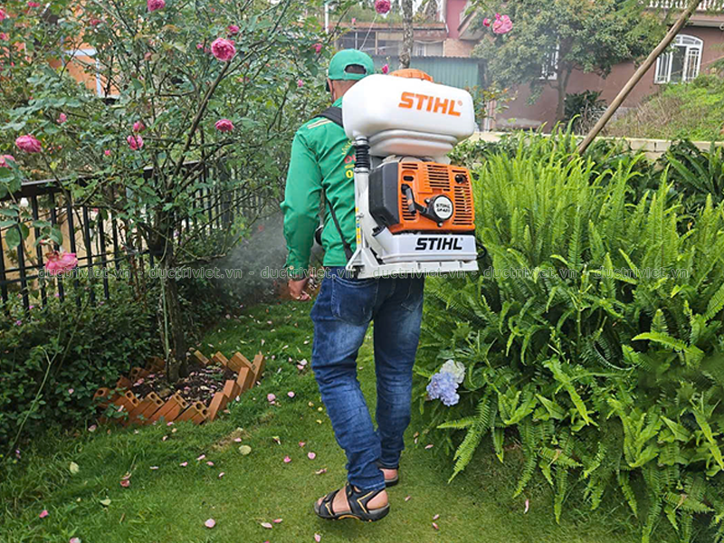 công ty phun xịt diệt muỗi tại Đà Lạt, Lâm Đồng