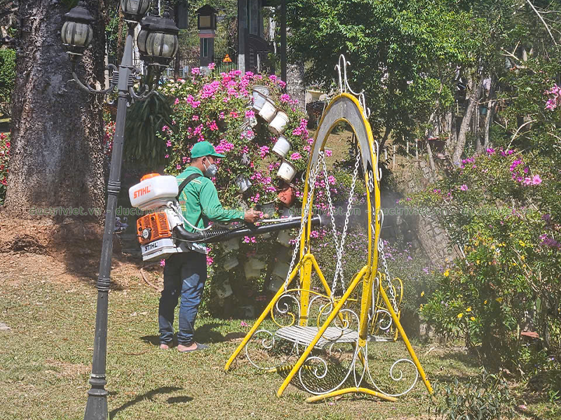 dịch vụ phun xịt diệt ruồi, muỗi, chuột, kiến, gián tại Đà Lạt