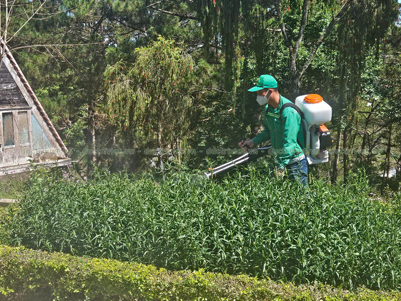 giá phun xịt diệt ruồi, muỗi, chuột, kiến, gián tại Đà Lạt