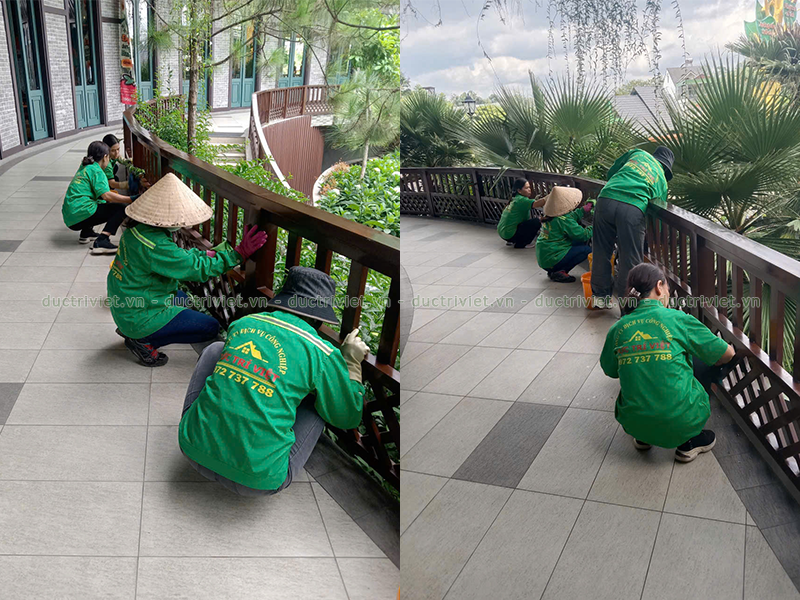 công ty vệ sinh công nghiệp tại Đà Lạt